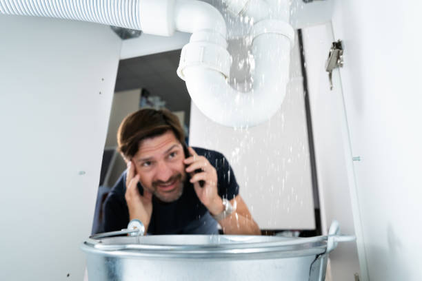 Best Emergency Plumbing Repair  in Elephant Butte, NM
