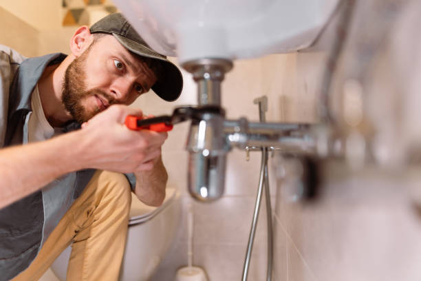 Best Local Plumber Services  in Elephant Butte, NM